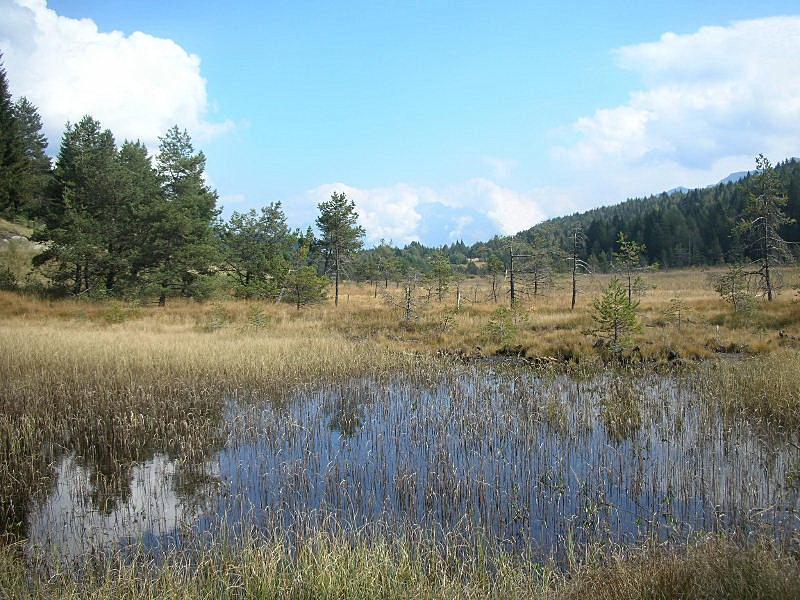 Riserva Naturale Pian Gembro